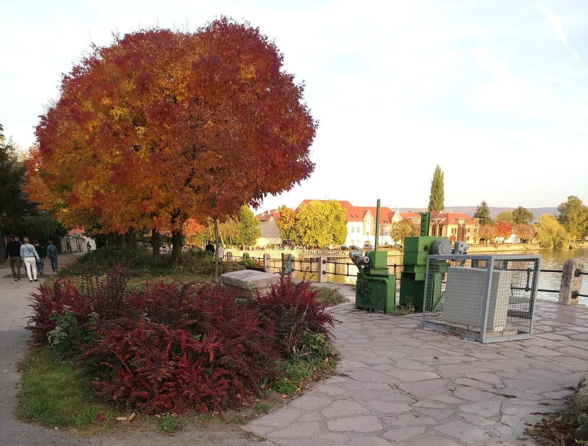 Panzio Tata Bed & Breakfast Eksteriør bilde